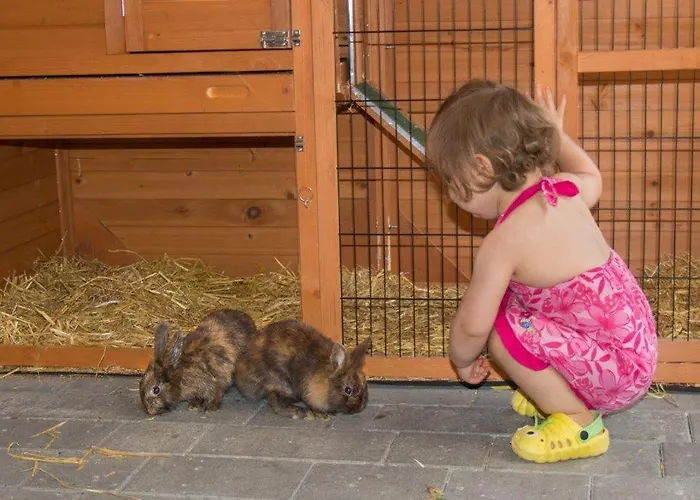 Daire Aparthaus Alpenzauber *