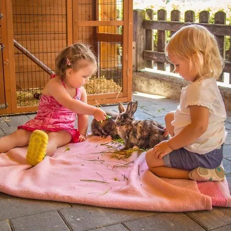 Aparthaus Alpenzauber * ノイシュティフト・イム・シュトゥーバイタール